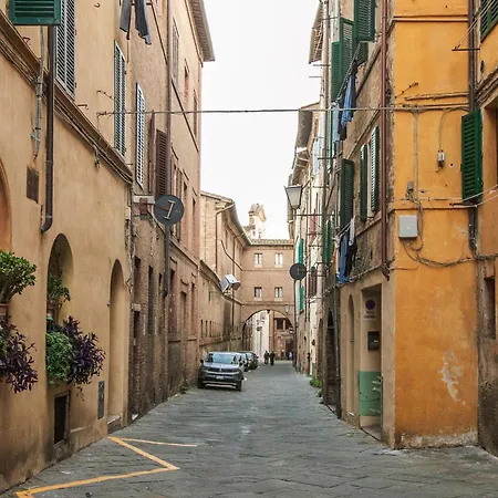 Fieravecchia 10 - Centro Di * Siena